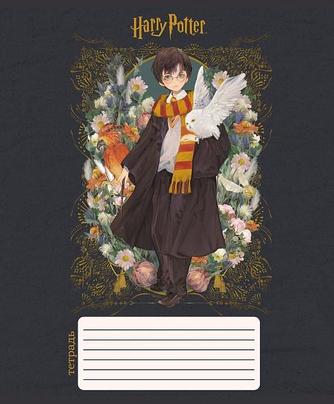 Тетрадь А5 12л Hatber Гарри Поттер клетка, офсет, на скобе, обложка мелованный картон