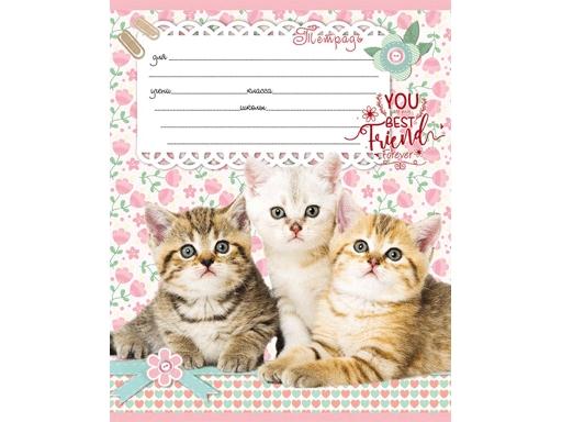 Тетрадь А5 12л "Проф-Пресс" Эконом Микс линия, офсет, на скобе, 10 дизайнов