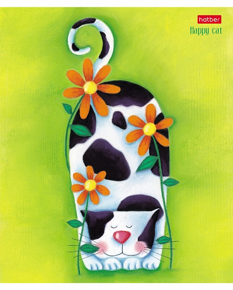 Тетрадь А5 18л Hatber Яркие герои, клетка, на скобе, обложка мелованный картон