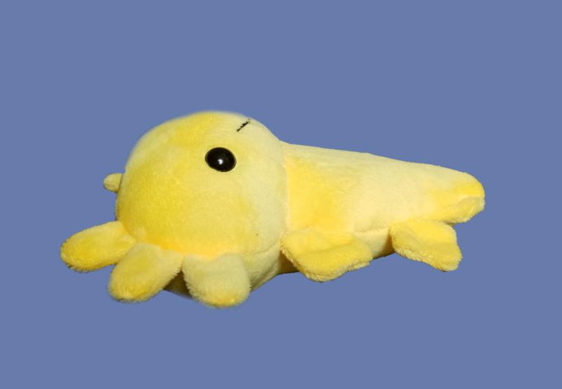 Мягкая игрушка Аксолотль Малыш желтый 18 см