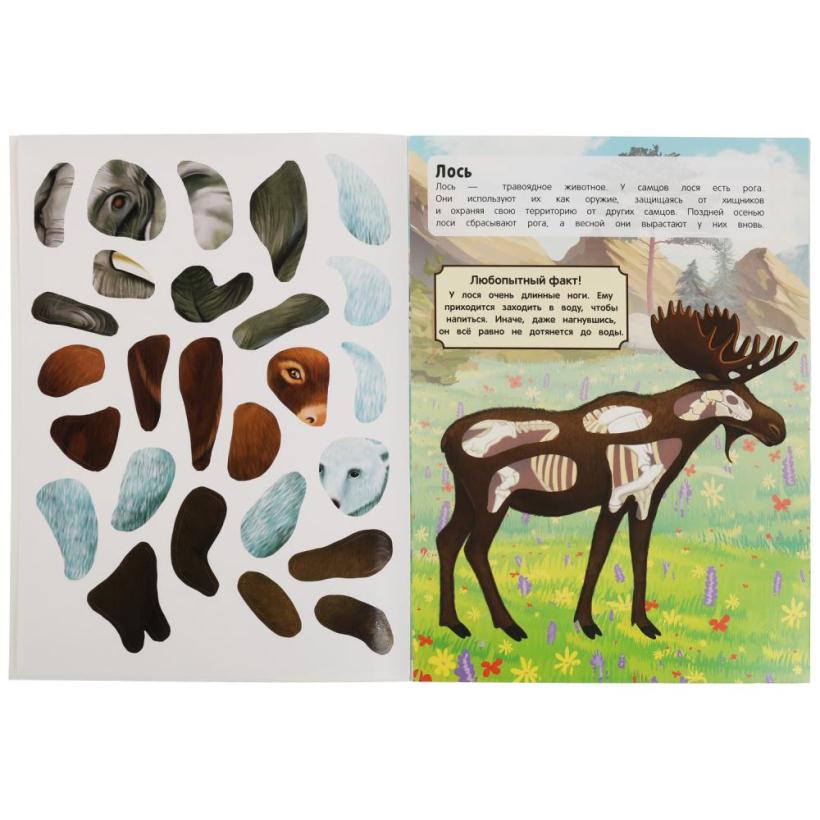 Многоразовые наклейки Умка Животные 50 наклеек