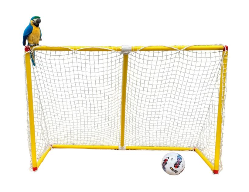 Ворота с сеткой 165 см*120 см У726