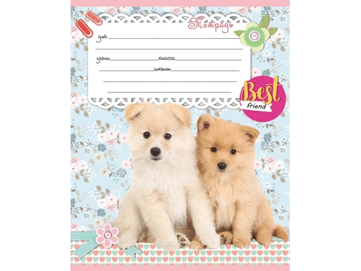 Тетрадь А5 12л "Проф-Пресс" Эконом Микс линия, офсет, на скобе, 10 дизайнов