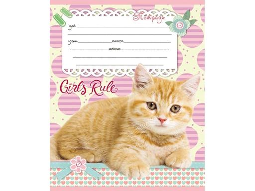 Тетрадь А5 12л "Проф-Пресс" Эконом Микс линия, офсет, на скобе, 10 дизайнов