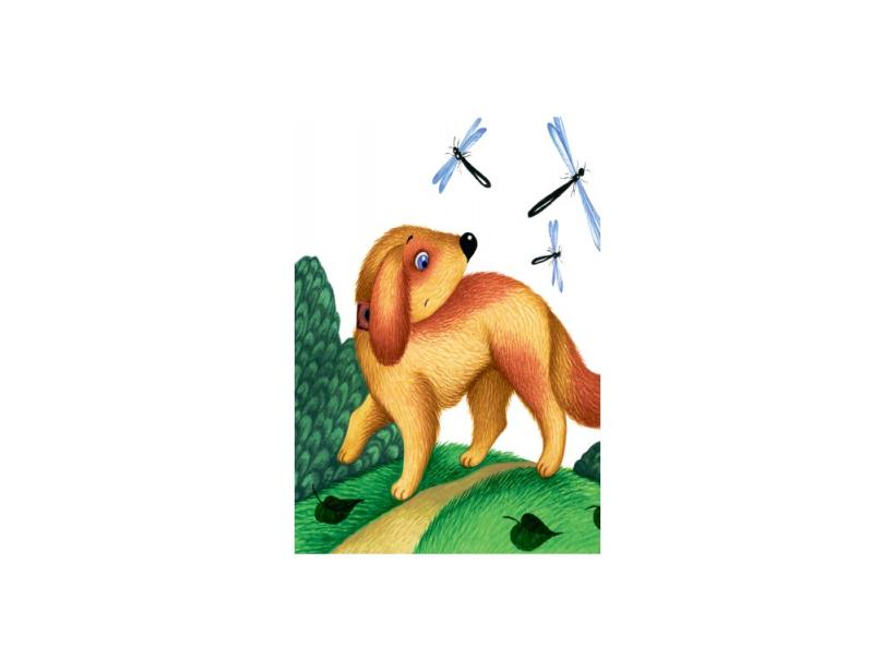 Ранок. Маленькие сказки. Серко 542010