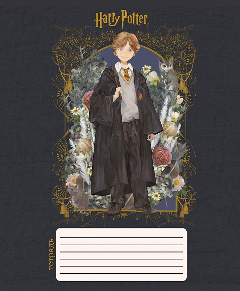 Тетрадь А5 12л Hatber Гарри Поттер клетка, офсет, на скобе, обложка мелованный картон