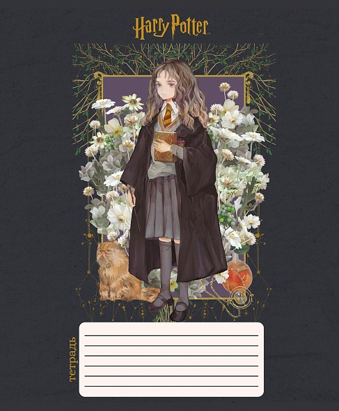 Тетрадь А5 12л Hatber Гарри Поттер клетка, офсет, на скобе, обложка мелованный картон