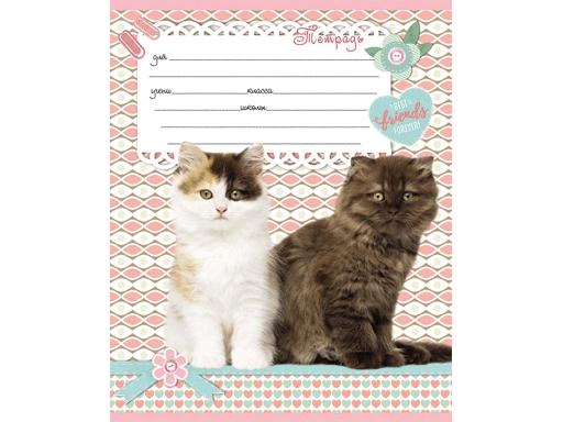 Тетрадь А5 12л "Проф-Пресс" Эконом Микс линия, офсет, на скобе, 10 дизайнов