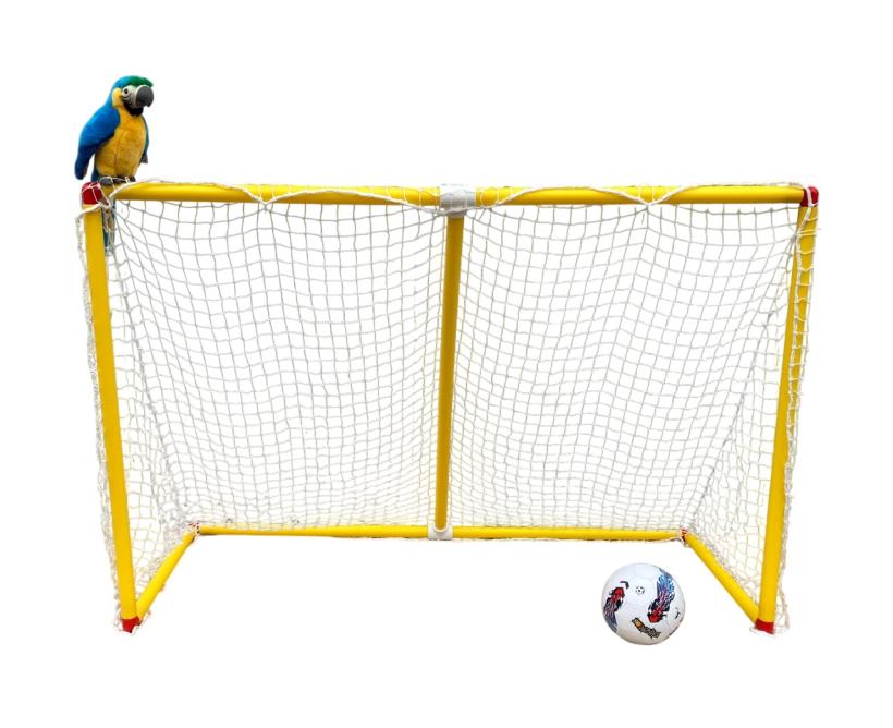 Ворота с сеткой 165 см*120 см У726