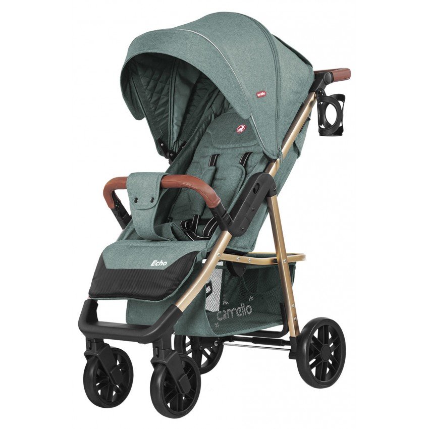 Прогулочная коляска CARRELLO Echo