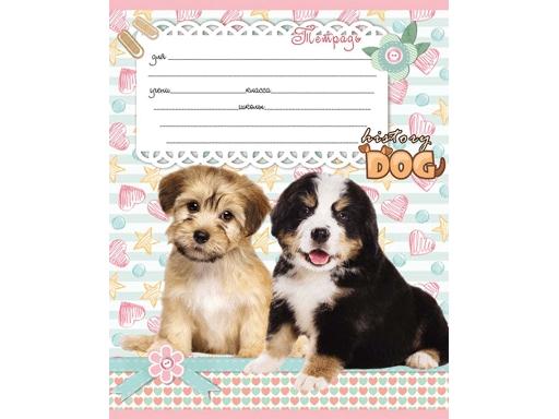 Тетрадь А5 12л "Проф-Пресс" Эконом Микс линия, офсет, на скобе, 10 дизайнов