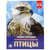 Энциклопедия "Умка" Птицы А4 с развивающими заданиями