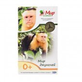 Мир на ладошке-3. МИР ДЖУНГЛЕЙ