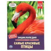 Энциклопедия "Умка" Самые красивые птицы, с развивающими заданиями Энциклопедия "Умка" Самые красивые птицы, с развивающими заданиями
