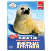 Энциклопедия "Умка" Животные Арктики А4 с развивающими заданиями