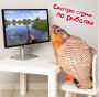 Игрушка мягкая Fancy Рыба RUB1