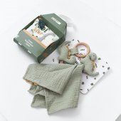 Набор игрушек прорезыватель и комфортер UNIX Kids Dino Набор игрушек прорезыватель и комфортер UNIX Kids Dino