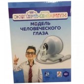 Набор 1Toy ЭКСПЕРИМЕНТАРИУМ Модель глаза Т21878