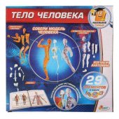 Набор для опытов "Играем вместе" Тело человека арт.KY-10002