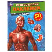 Книжка-активити "Умка" Тело человека, 50 многоразовых наклеек