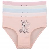 Трусы для девочек 4145PB3 4145Y15