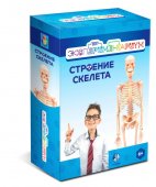 ЭКСПЕРИМЕНТАРИУМ Набор "Строение скелета" арт.Т17574