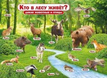 Плакат Кто в лесу живет? Дикие животные и птицы А2 арт.941-070,132