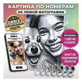 Картина по номерам из любой фотографии QBRIX ORIGINAL 30×40 40030