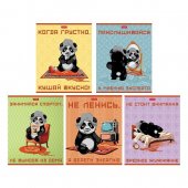 Тетрадь клетка А5 40л Hatber Мудрая панда Тетрадь клетка А5 40л Hatber Мудрая панда