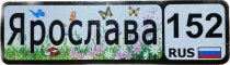 Номер на коляску девочки 28х8,5