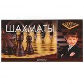 Шахматы "Играем вместе" деревянные с пластмассовыми фигурками арт.D22036-R1