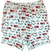 Боксеры для мальчиков 2-3 года арт.75738