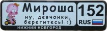 Номер на коляску с надписями 28х8,5
