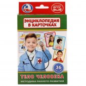 Карточки развивающие Тело человека, 36 карточек Умка